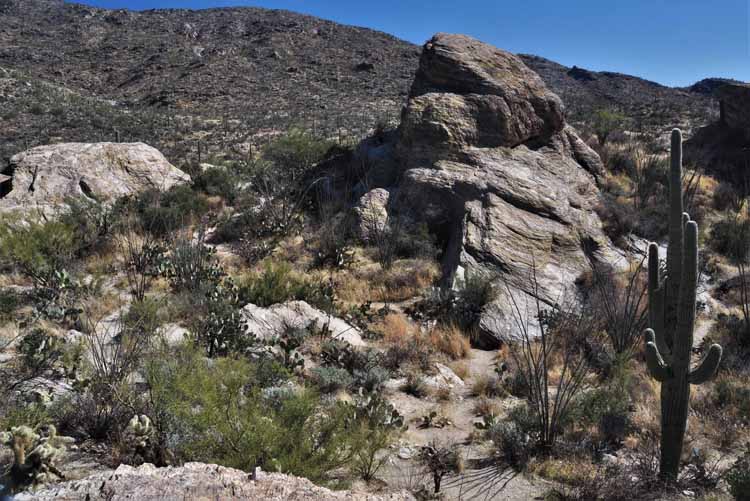 rock formations